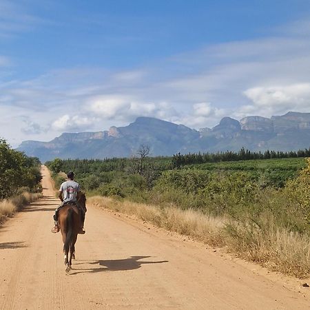 Thandolwami Bushlodge & Spa Hoedspruit Zewnętrze zdjęcie