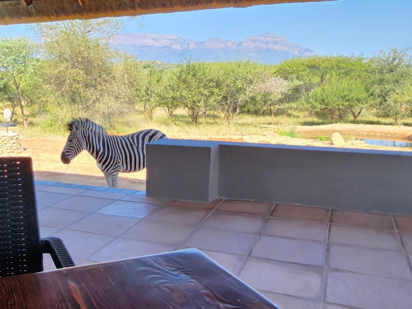 Thandolwami Bushlodge & Spa Hoedspruit Zewnętrze zdjęcie