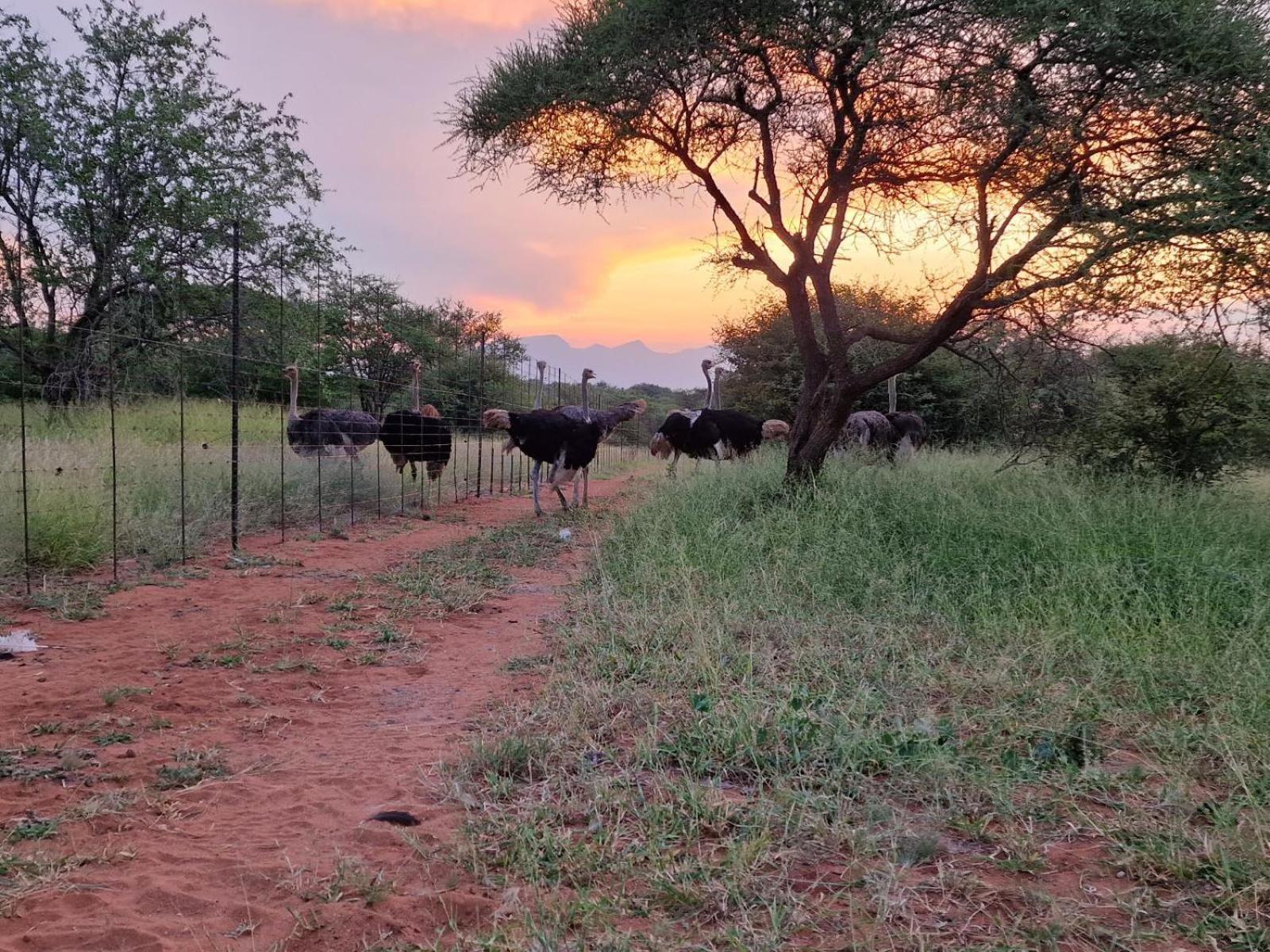 Thandolwami Bushlodge & Spa Hoedspruit Zewnętrze zdjęcie