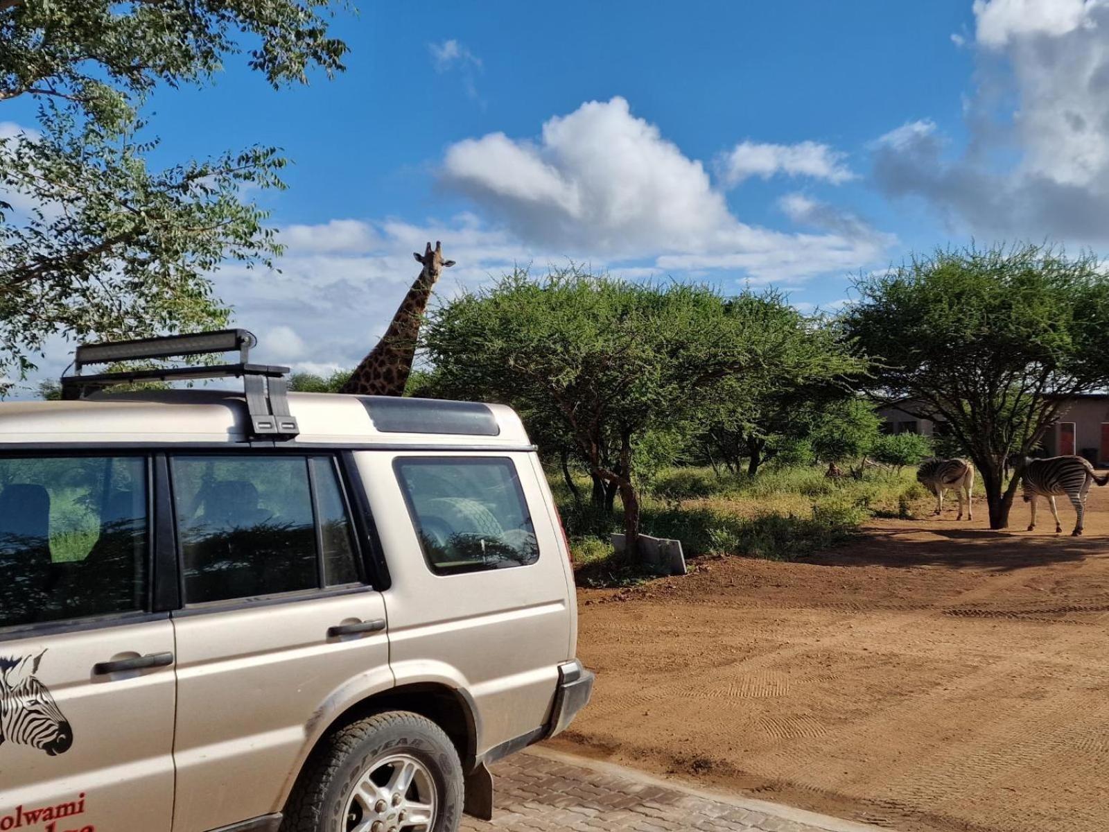 Thandolwami Bushlodge & Spa Hoedspruit Zewnętrze zdjęcie
