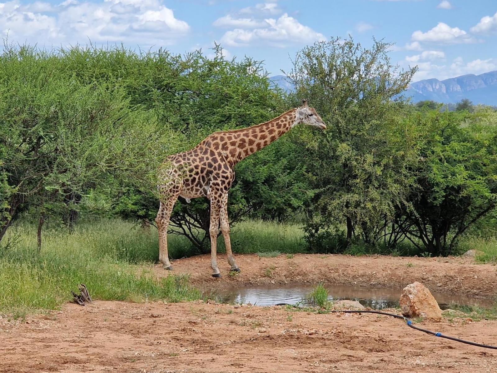 Thandolwami Bushlodge & Spa Hoedspruit Zewnętrze zdjęcie