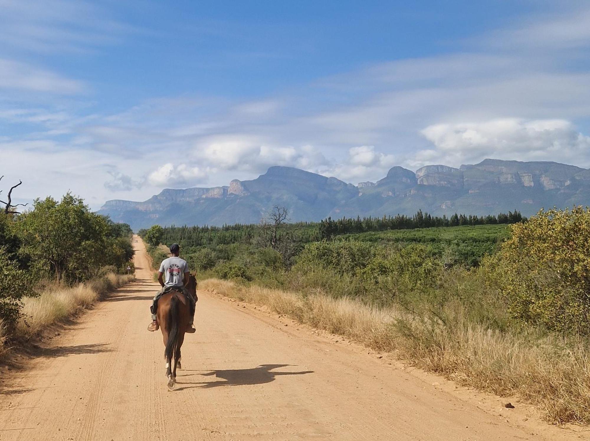 Thandolwami Bushlodge & Spa Hoedspruit Zewnętrze zdjęcie